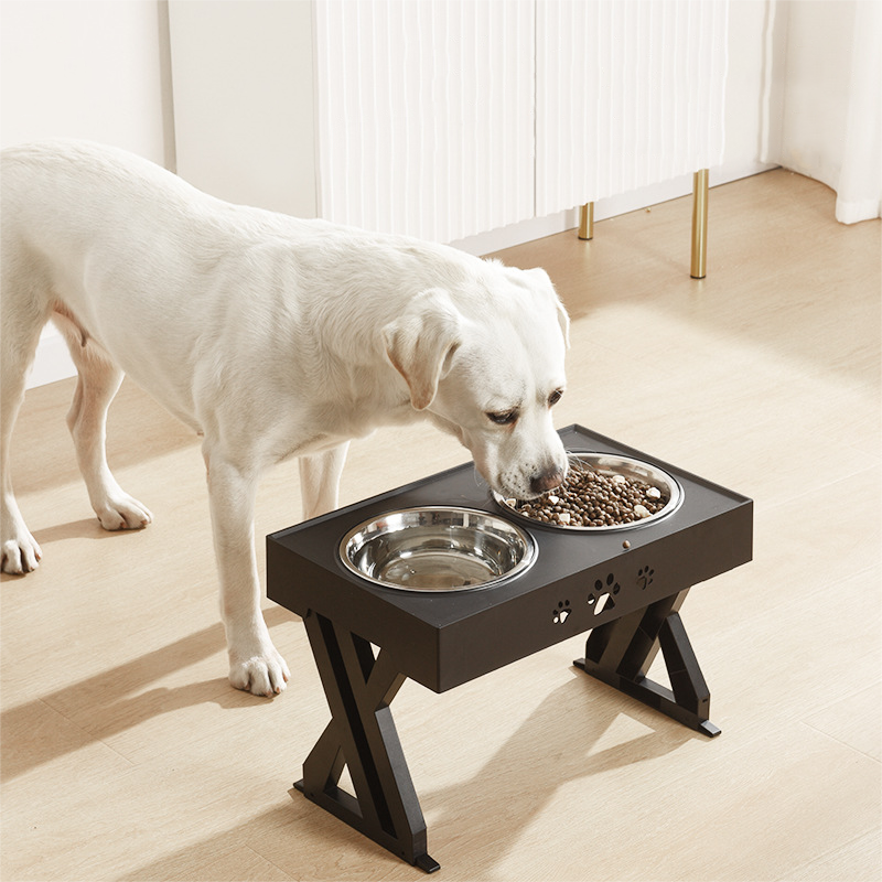 Dog Food & Water Raised Feeder