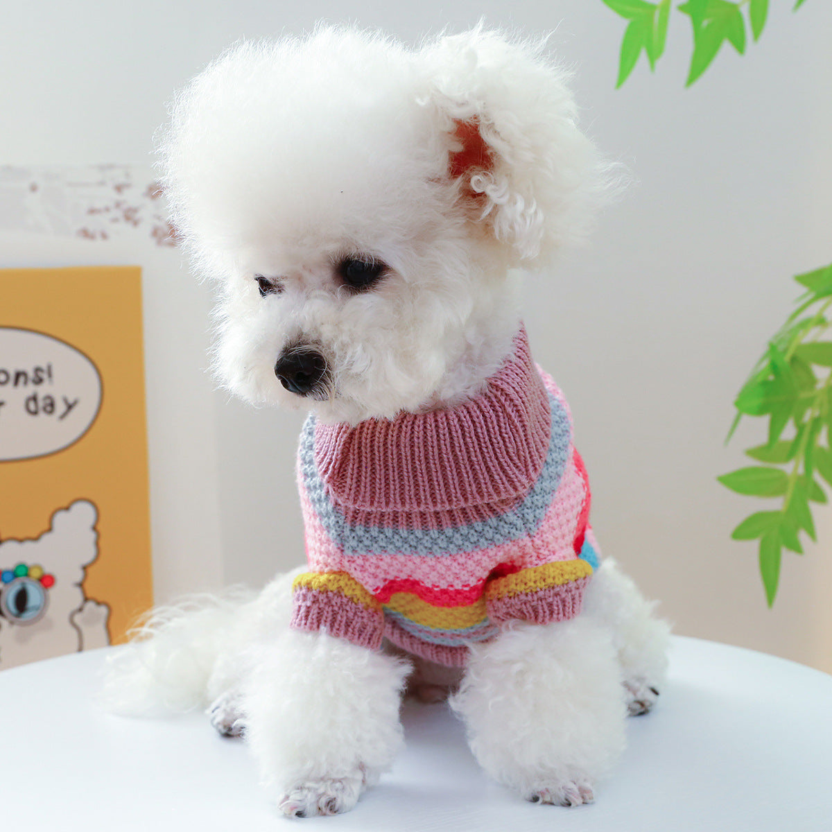 Colourful Ring Design Doggie Jumper