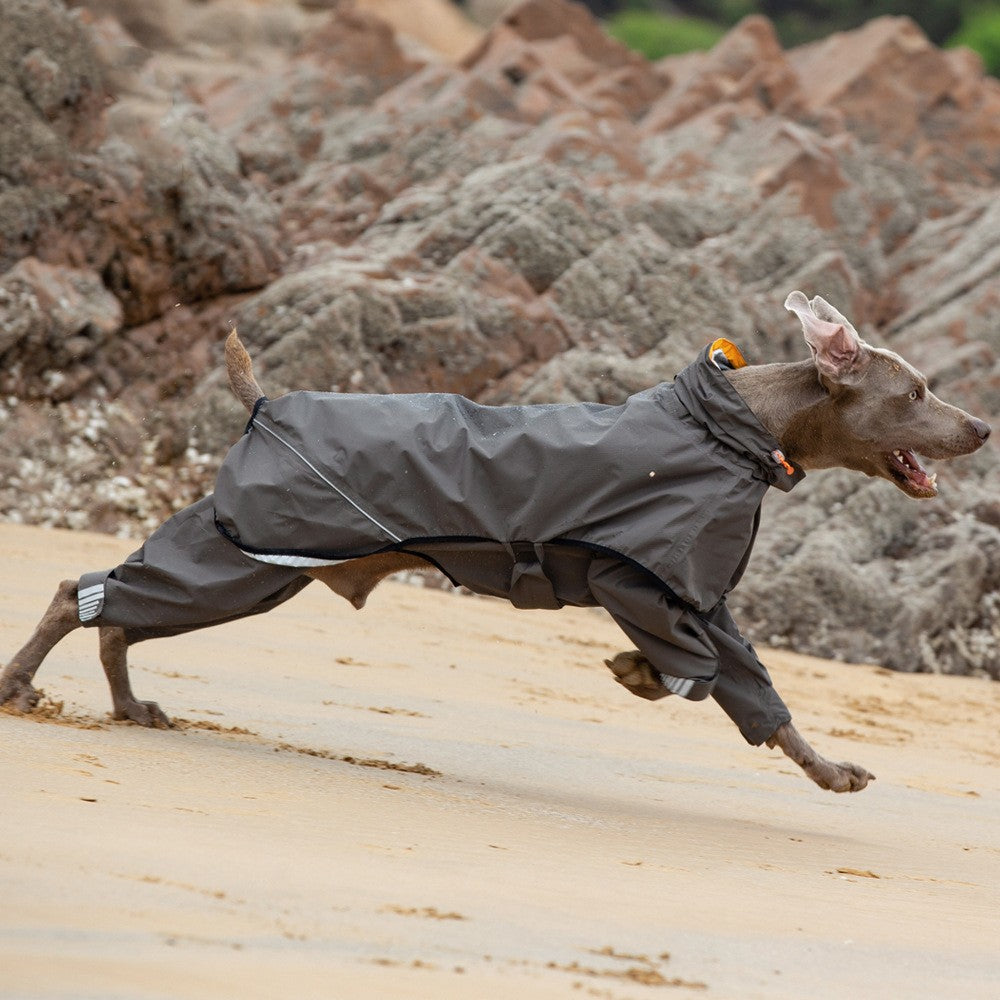Four-legged Waterproof Raincoat For Medium To Large Dogs