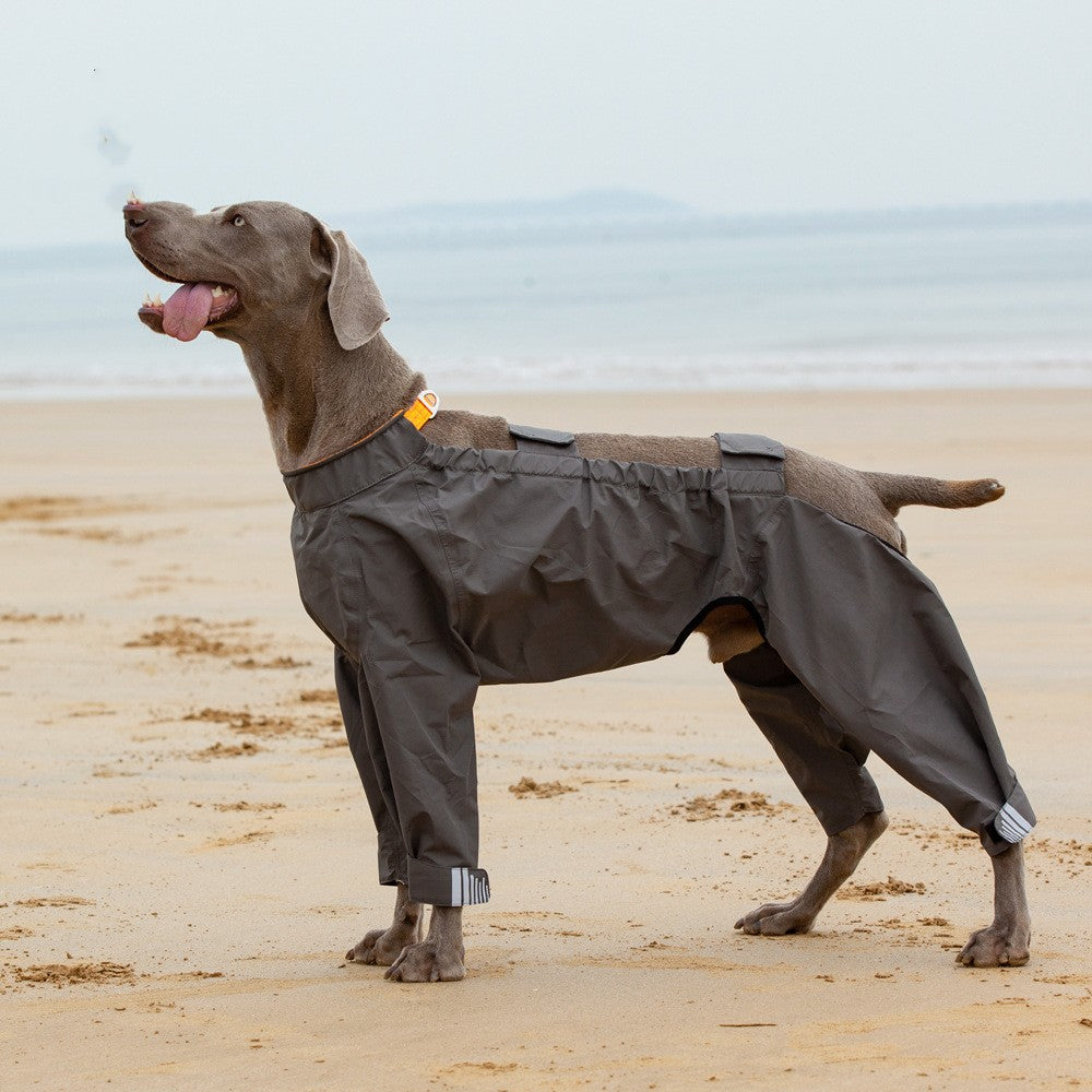Four-legged Waterproof Raincoat For Medium To Large Dogs