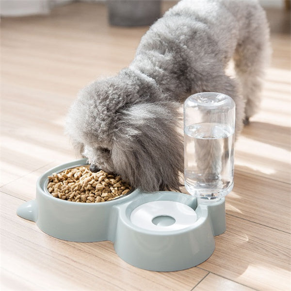 Dog Food and Water Station