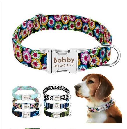 Dog Collar, Customisable