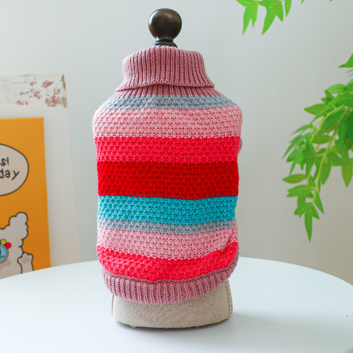 Colourful Ring Design Doggie Jumper