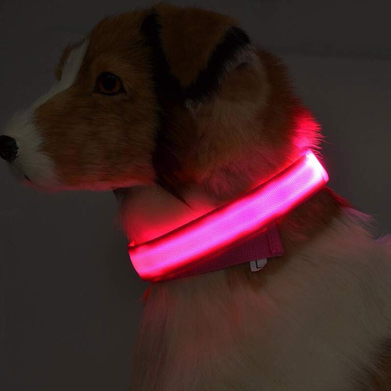 Nylon LED Pet Dog Luminous Collar, Flashing/Glow in Dark