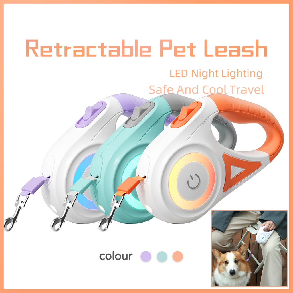 Retractable Leash With Light And Dog Collar For Small To Medium Dogs