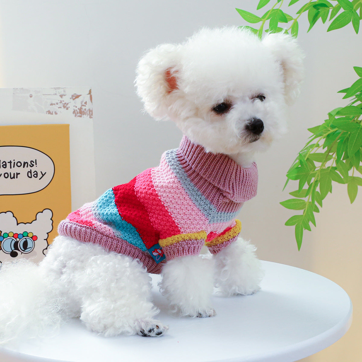 Colourful Ring Design Doggie Jumper