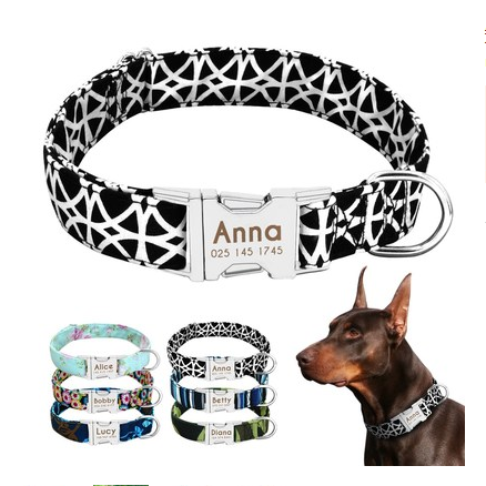 Dog Collar, Customisable