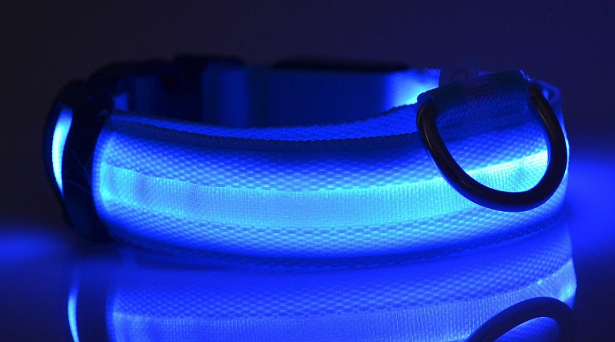 Nylon LED Pet Dog Luminous Collar, Flashing/Glow in Dark