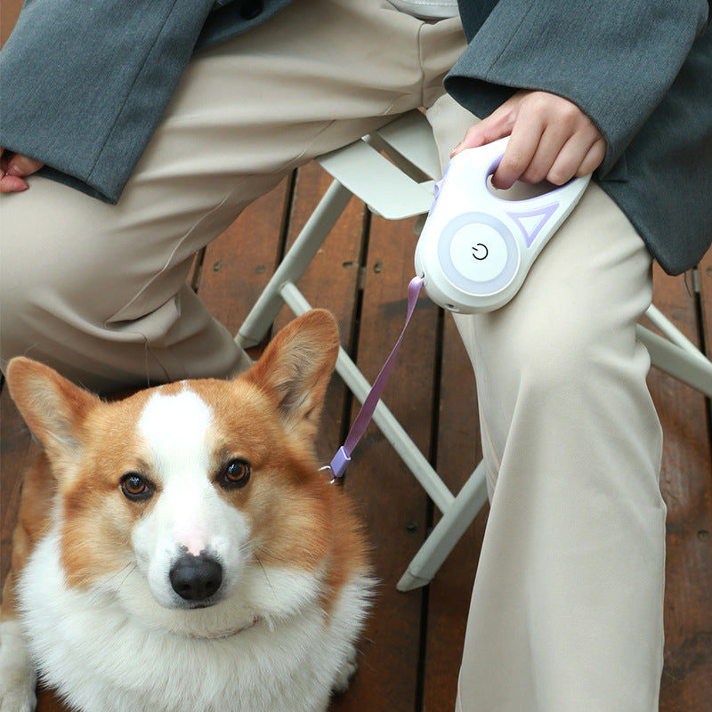 Retractable Leash With Light And Dog Collar For Small To Medium Dogs