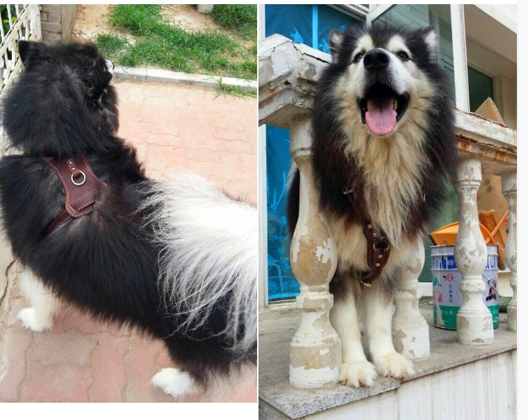 Double Layer Thickened Cowhide Chest And Back