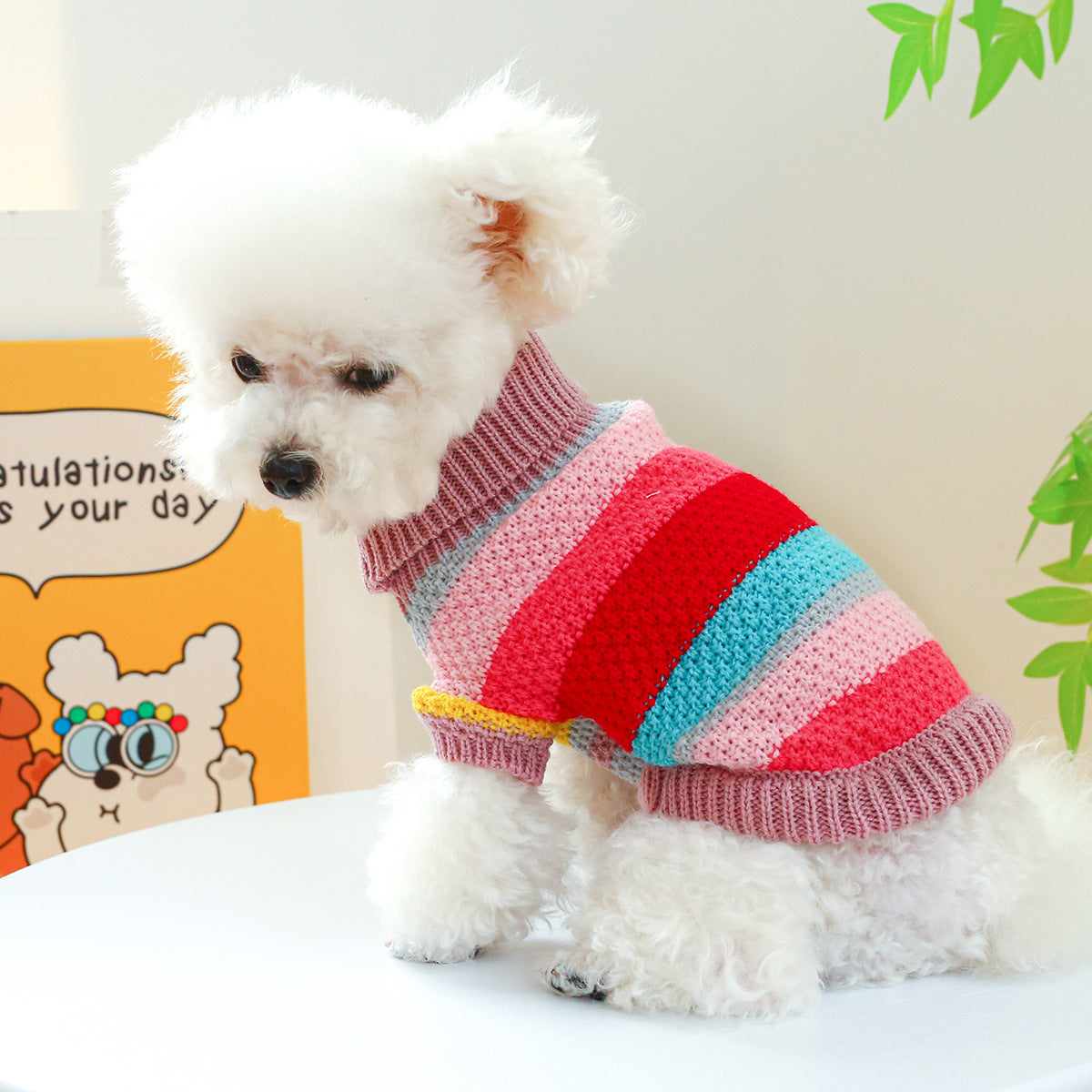 Colourful Ring Design Doggie Jumper