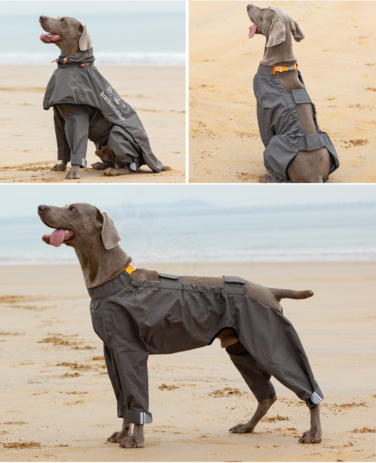 Four-legged Waterproof Raincoat For Medium To Large Dogs