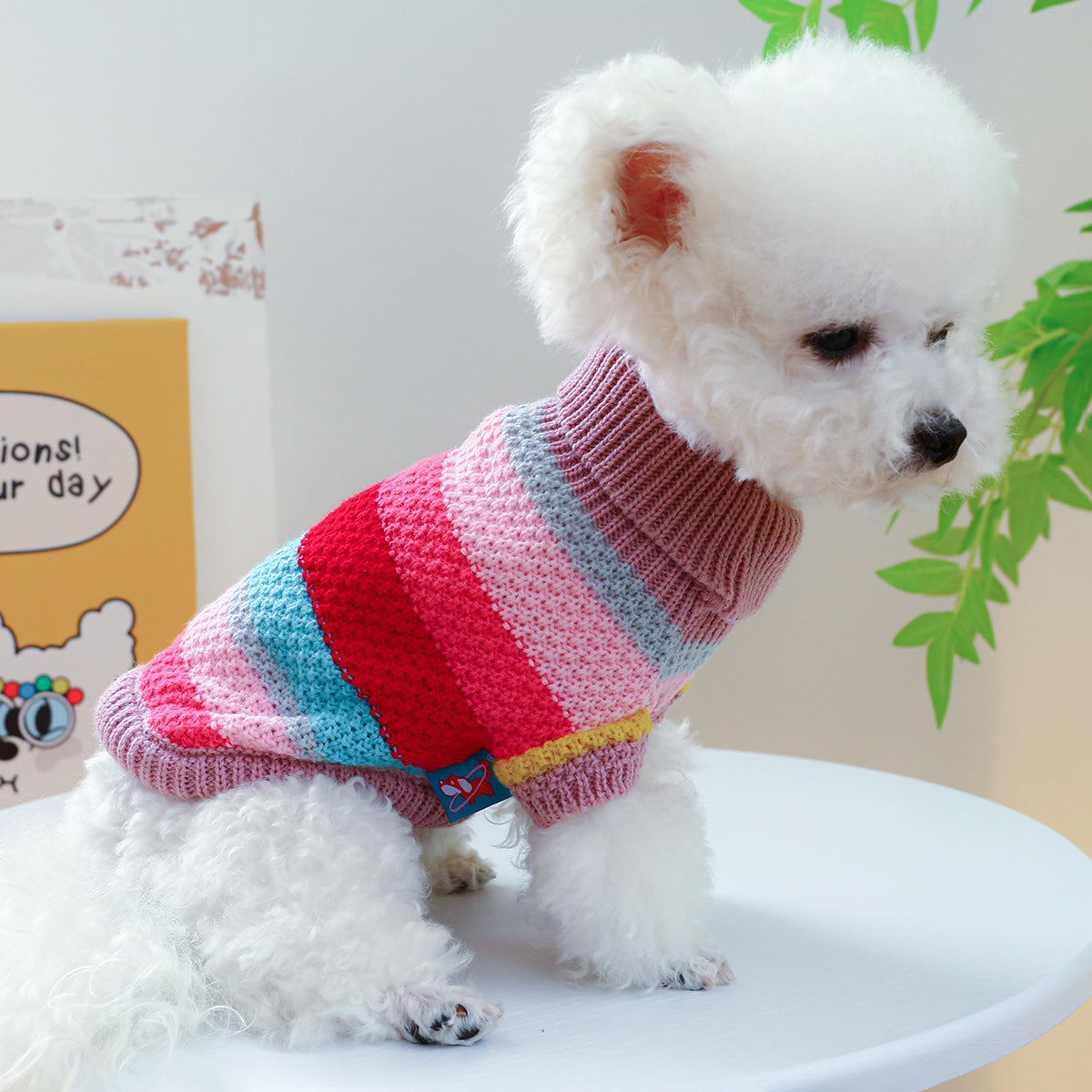Colourful Ring Design Doggie Jumper