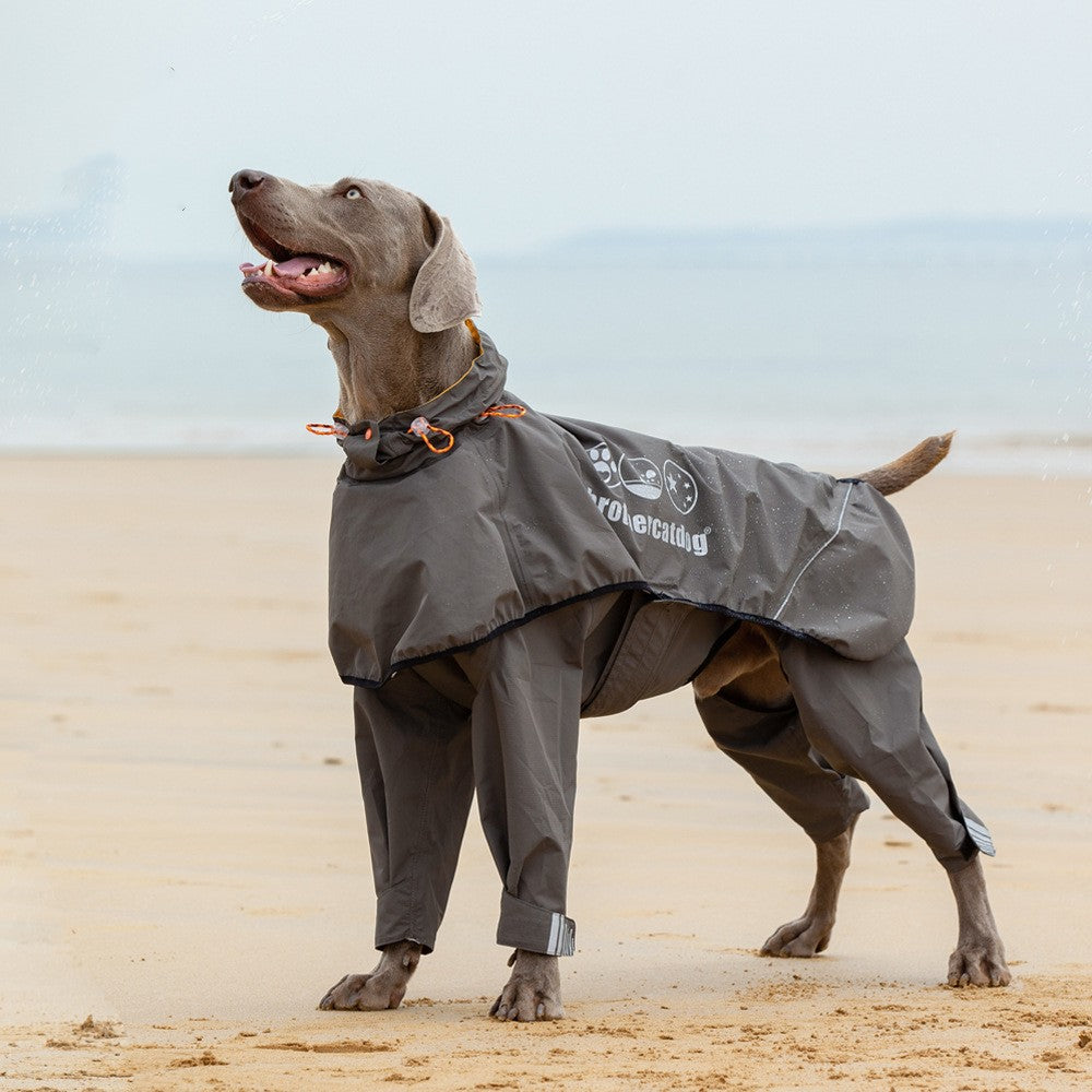 Four-legged Waterproof Raincoat For Medium To Large Dogs